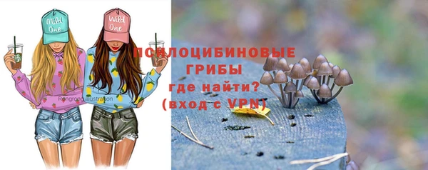 прущий лед Майский