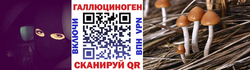 Псилоцибиновые грибы GOLDEN TEACHER  Купить закладки  Новая Ляля 